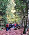Herfstwandeling op 20-10-2013 (22)
